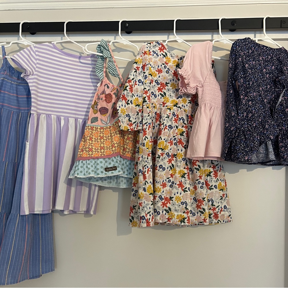 Size 6 Girls Spring Lot-Pink Chicken, RL Polo, Crewcuts, Cat & Jack, MJ
